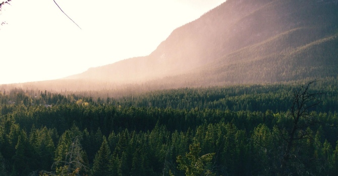 What I Wish I Knew About Starting a Chiropractic Practice